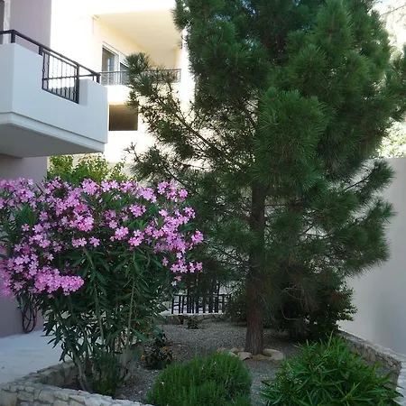 La Casa Del Vitsi Apartment